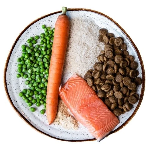 sk 2025 09 THL dog food