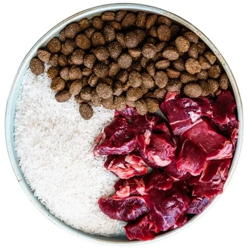 sk 2025 09 THM dog food