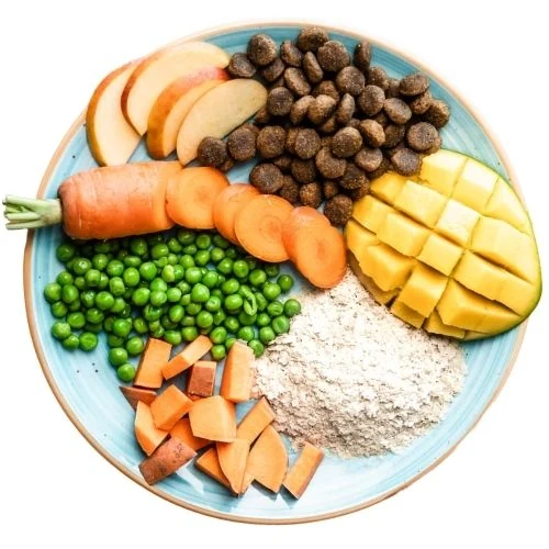 sk 2025 09 THR dog food