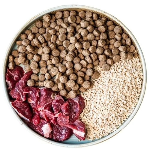 sk 2025 09 TM dog food