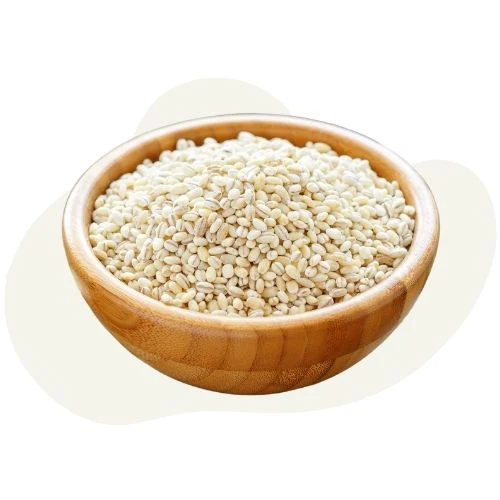sk 2025 09 barley