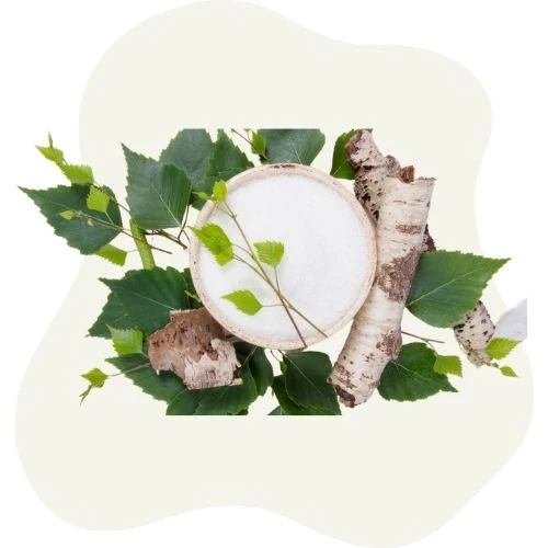 sk 2025 09 birch leaf