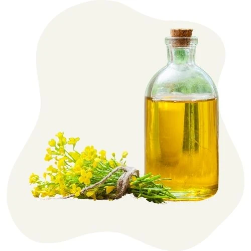sk 2025 09 canola