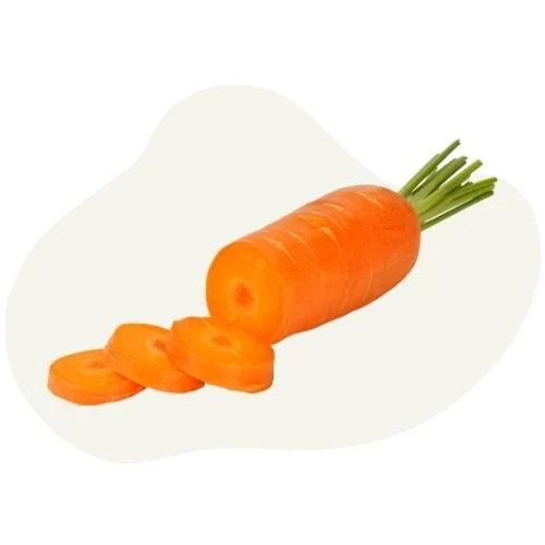 sk 2025 09 carrot