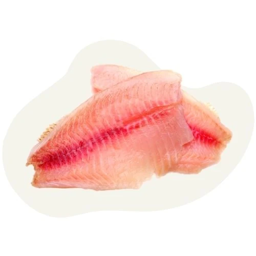 sk 2025 09 catfish