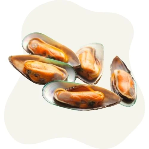 sk 2025 09 green lipped mussel