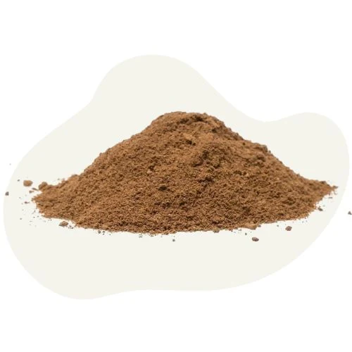 sk 2025 09 insect protein