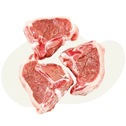sk 2025 09 lamb