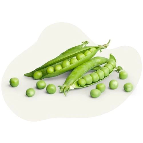 sk 2025 09 peas