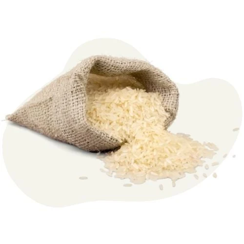 sk 2025 09 rice