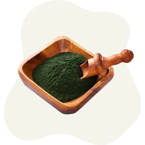 sk 2025 09 spirulina