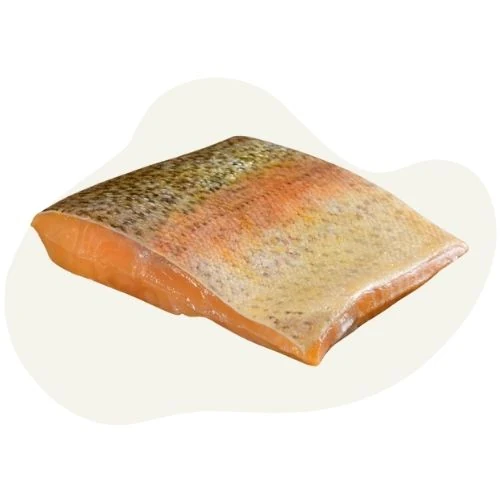 sk 2025 09 trout