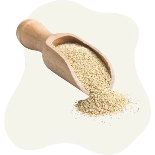 sk 2025 09 yeast