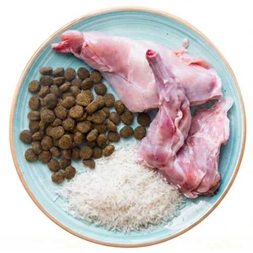 sk 2026 04 THNY dog food ingredients