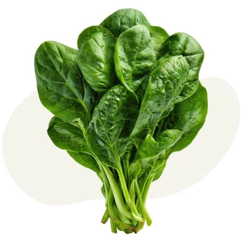 sk 2026 05 spinach