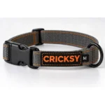 Obojok Cricksy